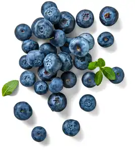 Marokk./span. Bio-Kulturheidelbeeren, 125-g-Packg.