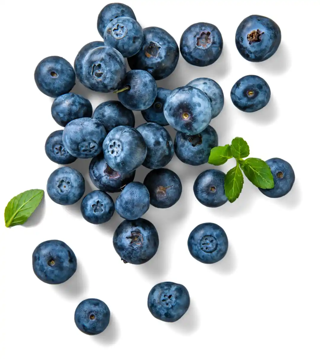 Bild 1 von Marokk./span. Bio-Kulturheidelbeeren, 125-g-Packg.