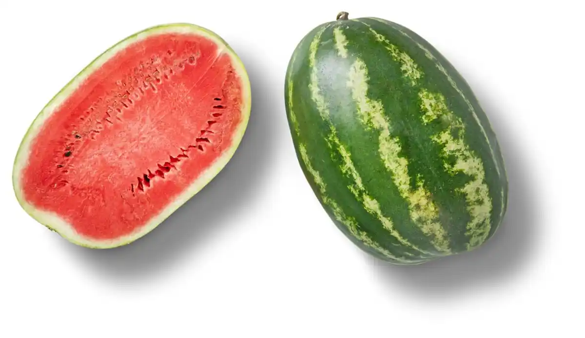 Bild 1 von Ital./griech. Wassermelone XXL, lose, Stück