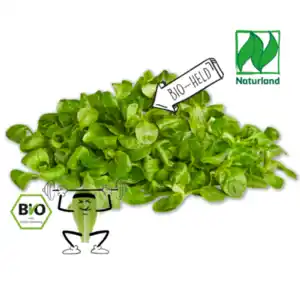 NATURGUT Bio-Feldsalat