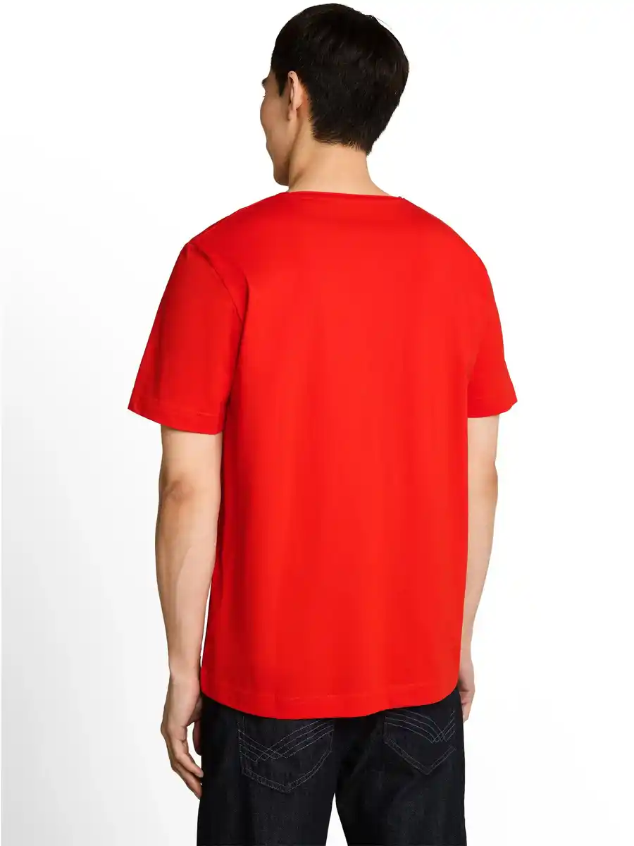 Bild 1 von Herren T-Shirt mit grafischem Brustprint Rot