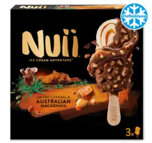NUII Ice Cream Adventure*