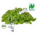 Bild 1 von NATURGUT Bio-Rucola