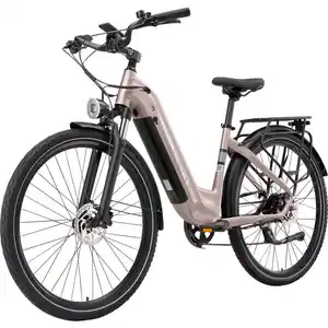 Trekking E-Bike Maxtron "Marathon" 28" goldfarben