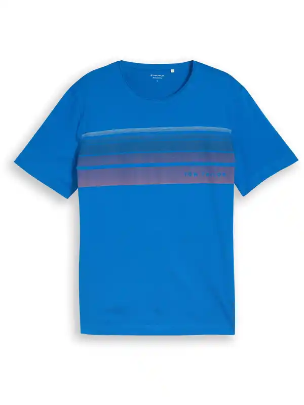 Bild 2 von Herren T-Shirt mit grafischem Brustprint Blau