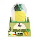 Bild 2 von ASIA GREEN GARDEN Fruity Ice