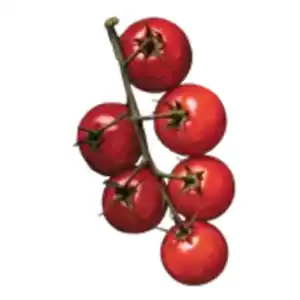 GO Regio Cherryrispentomaten