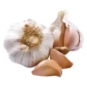 GO BIO Knoblauch