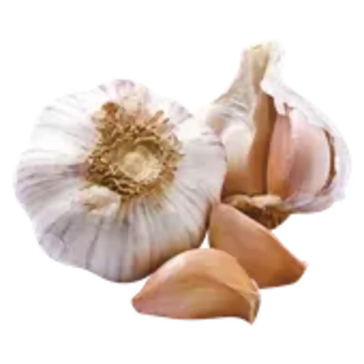 Bild 1 von GO BIO Knoblauch