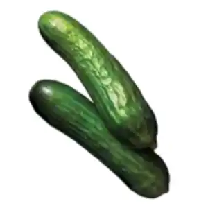 Minigurken