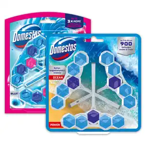 Domestos WC Stein