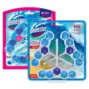 Bild 1 von Domestos WC Stein