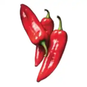 Spitzpaprika rot