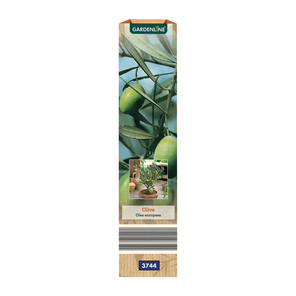Bild 4 von GARDENLINE Mediterrane Pflanze