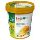 Bild 1 von NUR NUR NATUR Bio-Fruchtsorbet 500 ml, Mango