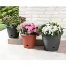 Bild 1 von Powertec Garden Blumentopf "Flora"