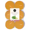 Bild 1 von HOME CREATION Citronella-Teelichte, Maxi-Lichte