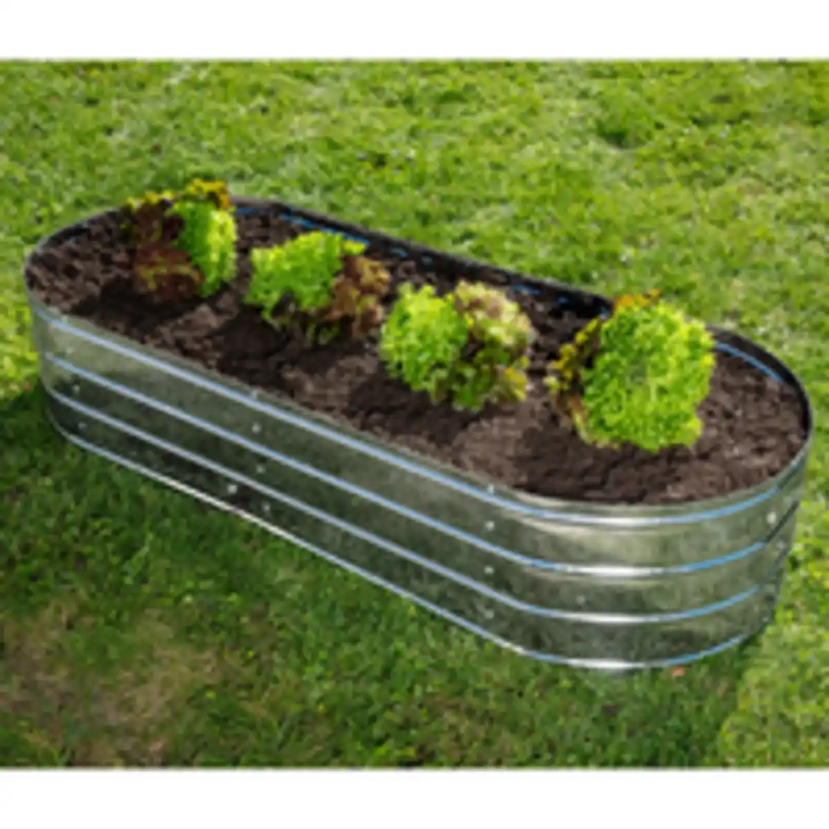 Bild 2 von Oval Hochbeet aus Stahl, ca. 150 x 60 x 30 cm - Silber