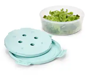 Salatschüssel mit Kühlakku