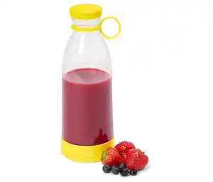 Mini-Fruchtmixer, 0,3 l