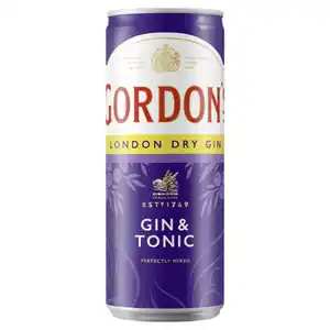 Gordon's London Dry Gin & Tonic Water 10 % vol Dose 250 ml