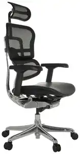 Drehstuhl Ergohuman Gen2 Schwarz, Schwarz