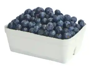 Heidelbeeren