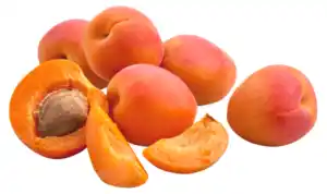 Aprikosen