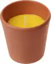 Bild 1 von Terra-Topf »Citronella«
