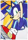Bild 3 von Strandhandtuch »Sonic«