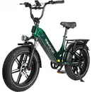 Bild 1 von Off-Road E-Bike Maxtron "Camel" 20" grün