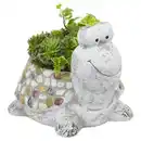 Bild 1 von GARDENLINE Sempervivum Tiere, Schildkröte