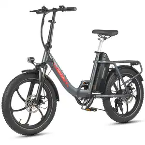 Falt-E-Bike Maxtron "Mule" 20" grau
