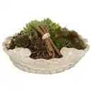 Bild 1 von GARDENLINE Sempervivum Vogeltränke, Vogeltränke 1