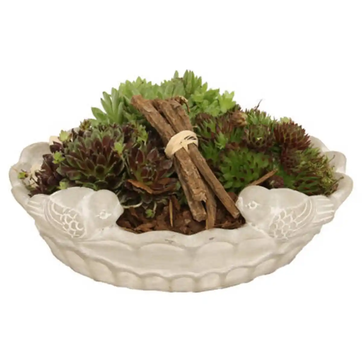 Bild 1 von GARDENLINE Sempervivum Vogeltränke, Vogeltränke 1