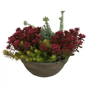 GARDENLINE Sedumschale