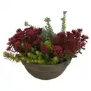 Bild 1 von GARDENLINE Sedumschale