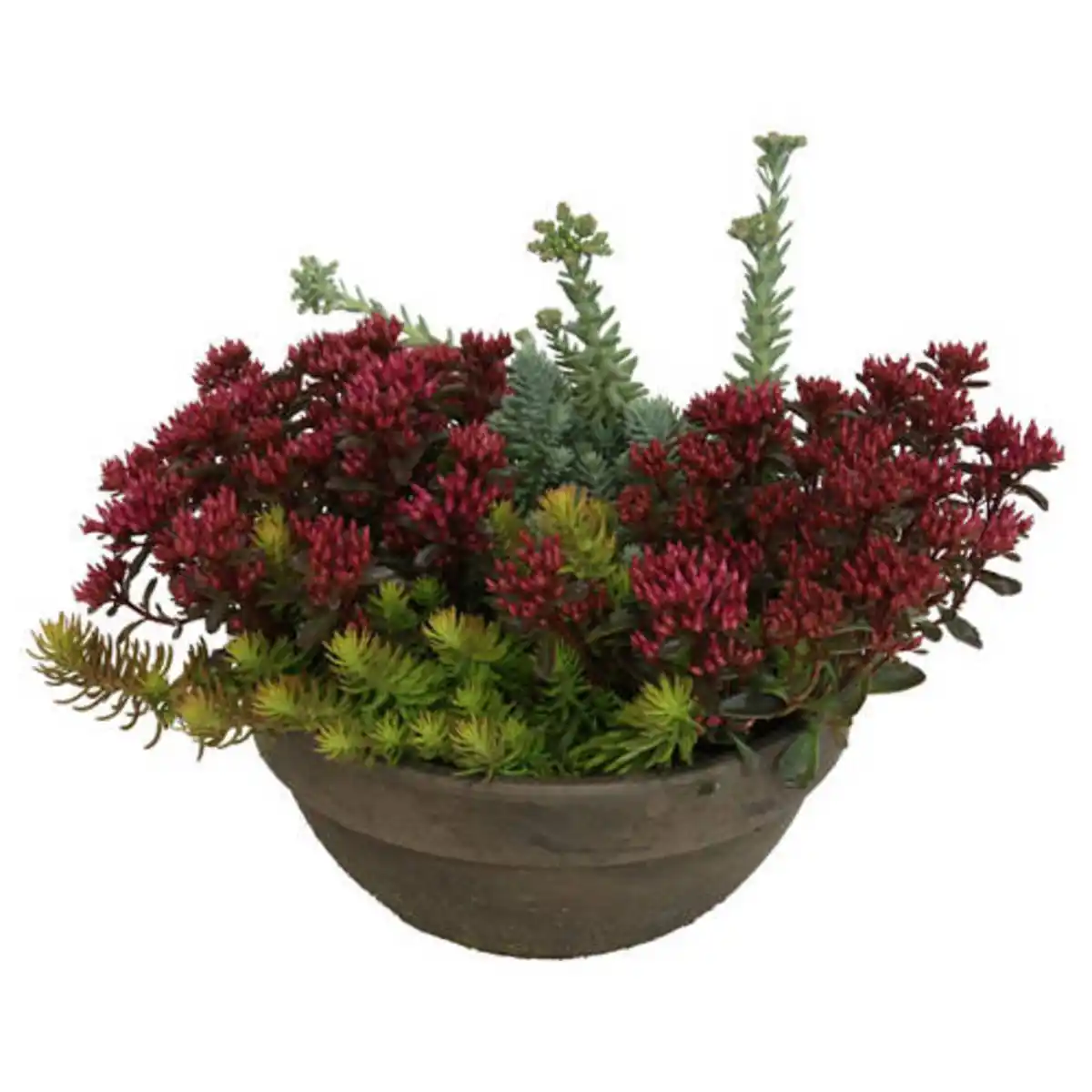 Bild 1 von GARDENLINE Sedumschale