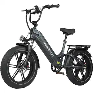 Off-Road E-Bike Maxtron "Camel" 20" dunkelgrau