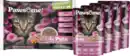 Bild 3 von Pawsome Adult Pute Vorteilspack, 340 g