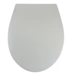 WELLWATER WC-Sitz »Aurel«, antibakteriell, Soft-Close, Take-Off, Duroplast