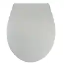 Bild 1 von WELLWATER WC-Sitz »Aurel«, antibakteriell, Soft-Close, Take-Off, Duroplast