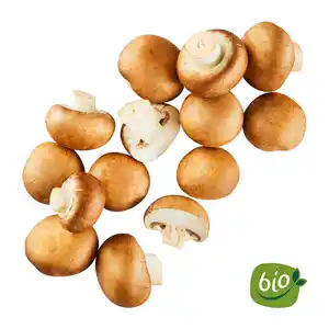 BIO Kulturchampignons braun