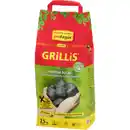 Bild 1 von proFagus Grill-Briketts, 2,5kg