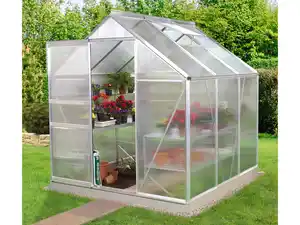 Vitavia Gewächshaus-Set Alina (3,8 m²)