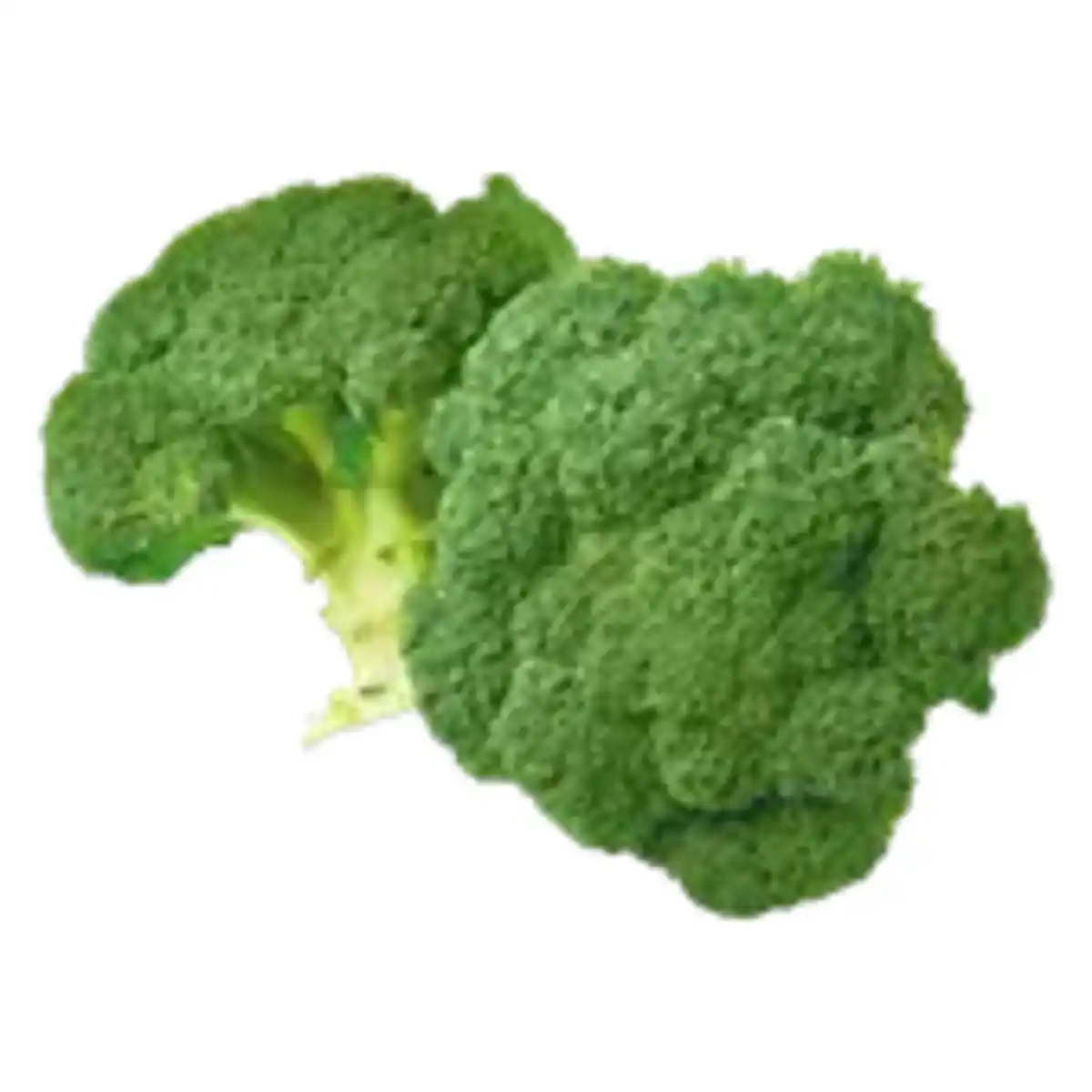 Bild 1 von GO Regio Broccoli