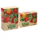 Bild 1 von Erdbeeren, tiefgefroren