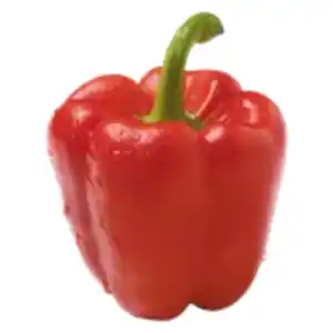 Paprika rot