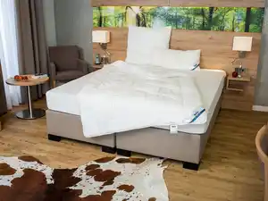BECO Winter-Bettdecke Proneem mit Milbenschutz, warm (135 x 200 cm)