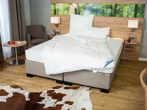 BECO Vierjahreszeiten-Bettdecke Proneem mit Milbenschutz (155 x 220 cm)